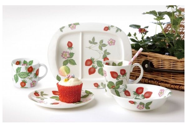 希少 未使用WEDGWOOD ウェッジウッド ワイルドストロベリープティ プレート2枚SET 食器 プレート