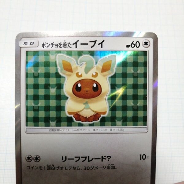 ポケモンカード ポンチョを着たイーブイ リーフィア プロモ