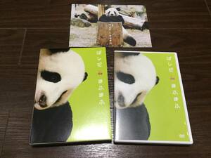 ◇スリーブ痛み◇ぱんだ de まふまふ DVD 国内正規品 セル版 中国 四川省 パンダ こぱんだ 即決