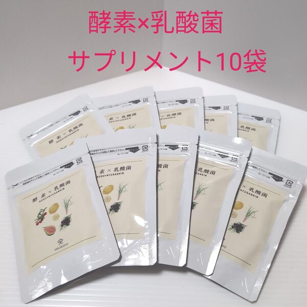 酵素×乳酸菌サプリメント120粒10袋