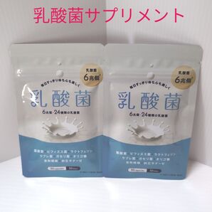 乳酸菌サプリメント30粒×2袋【2ヶ月分】