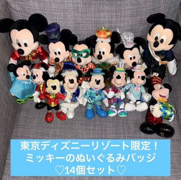 レア ディズニーリゾート TDR ミッキー ぬいぐるみバッジ ぬいば 14体 ハロウィン イースター クリスマス タワーオブテラー