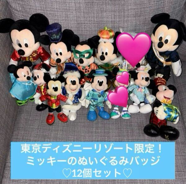 レア ディズニーリゾート TDR ミッキー ぬいぐるみバッジ ぬいば 14体 ハロウィン イースター クリスマス タワーオブテラー
