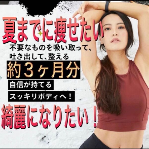 約3ヶ月分★炭が脂肪を吸着炭のチカラ黒と白のチカラ腸活黒しょうがブラックジンジャーでスッキリボディへ