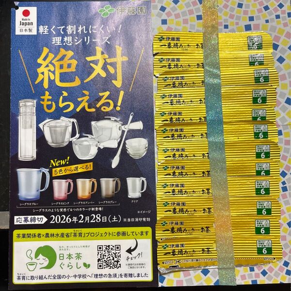 伊藤園 キャンペーン 応募券