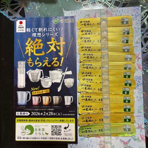伊藤園 絶対もらえる!応募券 72点分