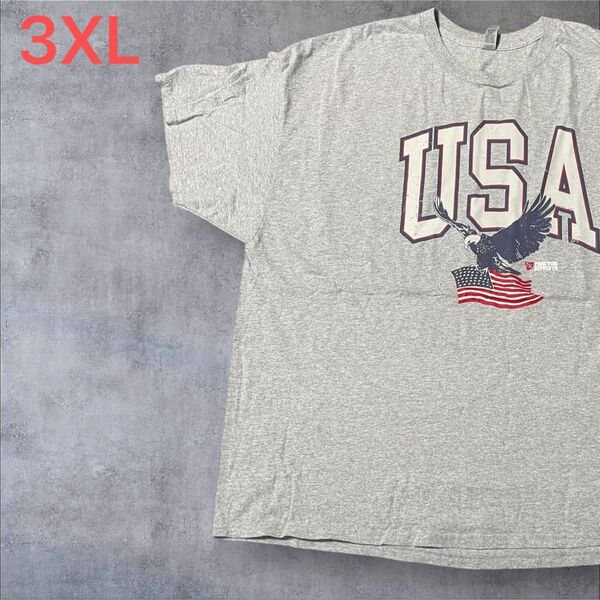 【US古着】グレー 3XL Tシャツ 半袖 レギュラー プリント メンズ レディース 大きいサイズ オーバーサイズGILDAN