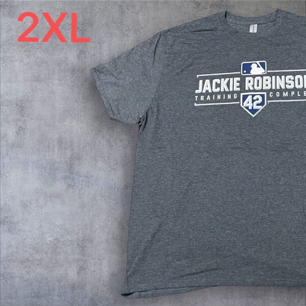 【US古着】グレー 2XL Tシャツ 半袖 レギュラー プリント メンズ レディース 大きいサイズ オーバーサイズGILDAN