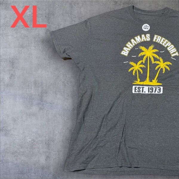 【US古着】ダークグレー XL Tシャツ 半袖 レギュラー プリント メンズ レディース 大きいサイズ オーバーサイズ