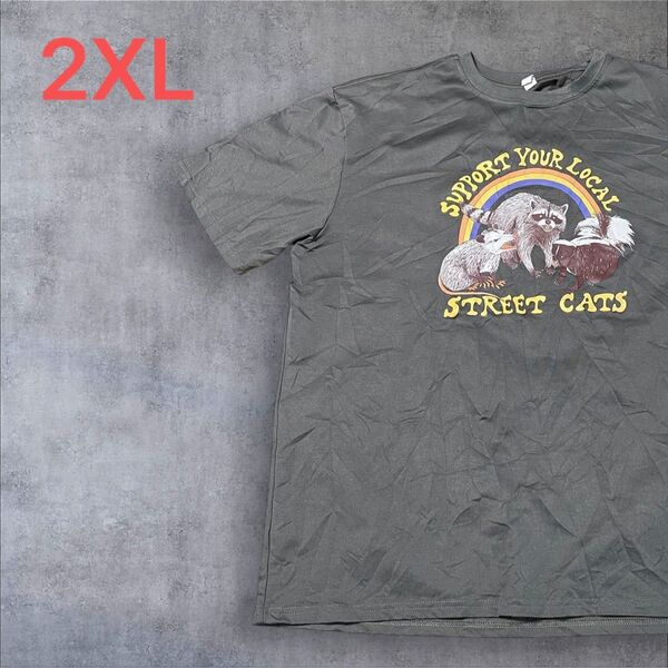 【US古着】ダークグレー 2XL Tシャツ 半袖 レギュラー プリント メンズ レディース 大きいサイズ オーバーサイズ