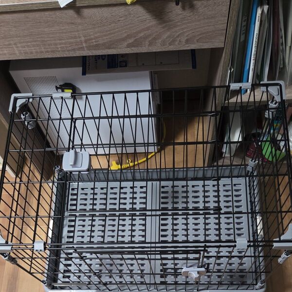 うさぎゲージ