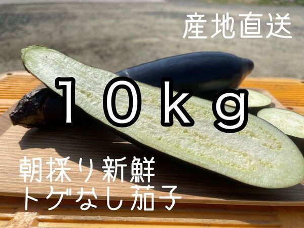 100サイズ 箱いっぱい 産地直送 農家直送 朝採り 新鮮野菜 野菜 茄子 ナス なす