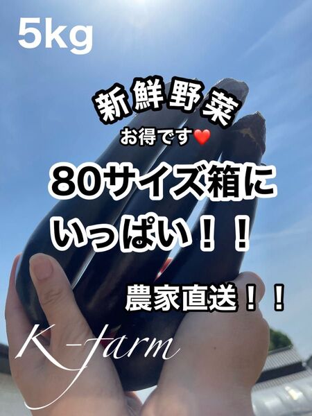 80サイズ 箱いっぱい 産地直送 農家直送 朝採り 新鮮野菜 野菜 茄子 ナス ハウス栽培 農家