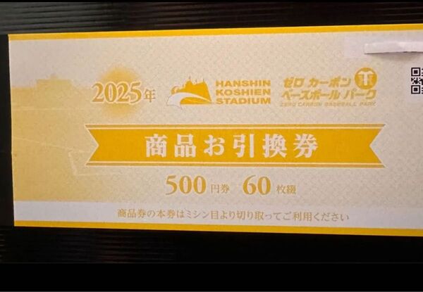 阪神甲子園球場2025年 商品お引換券 500円券 60枚綴り