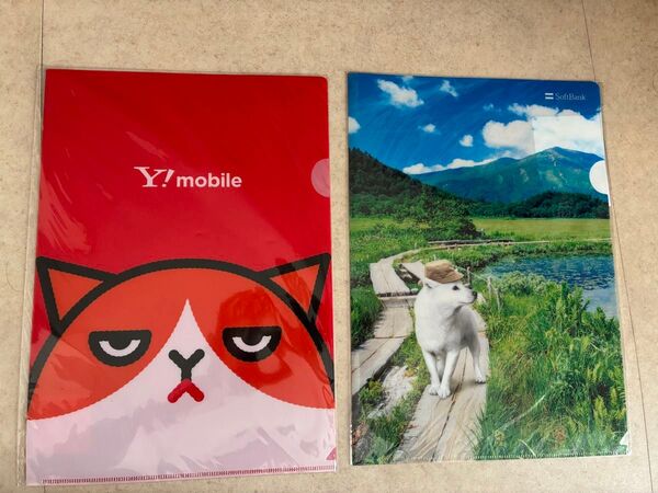 新品未使用 ソフトバンク&ワイモバイル A4クリアファイル 2枚セット お父さん ふてニャン
