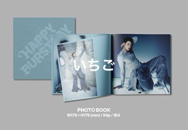 SEVENTEEN HAPPY BURSTDAY フォトブックのみ