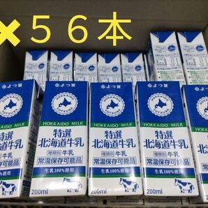 よつ葉 特選 北海道牛乳 【常温保存可能品】 200ml×56本