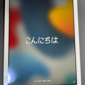 Apple iPad Air2 16GB