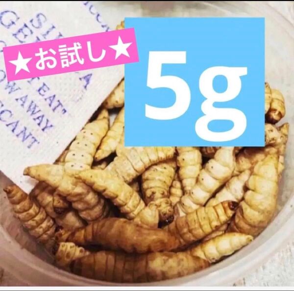 ハニーワーム ブドウムシ フリーズドライ ブドウ虫 5gお試し 餌 エサ