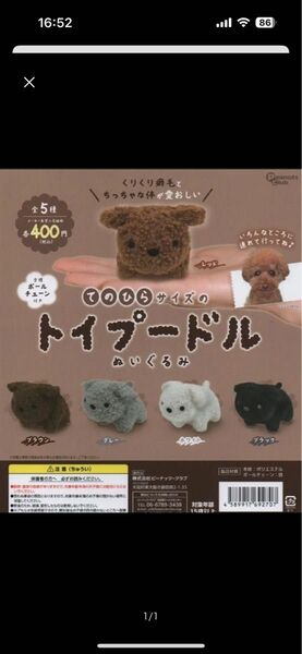 てのひらサイズのトイプードル ぬいぐるみ ホワイト