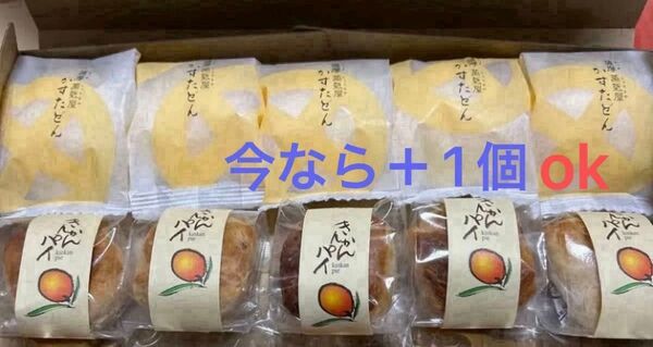 薩摩蒸気屋 人気のお品詰め合わせ全10個+1個セット(今なら特別ご希望の方を+1個致します。^ ^どちらでもok)