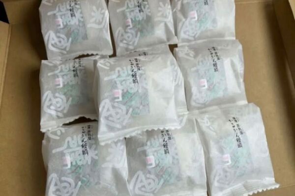 薩摩蒸気屋 かるかん饅頭10個セット