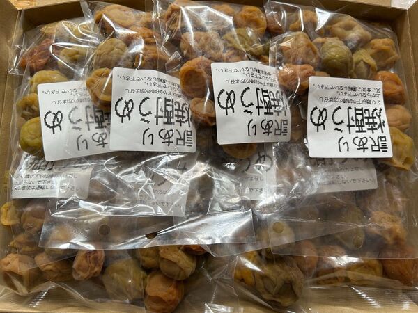 キャンペーン特価!訳あり 国産 南高梅使用の焼酎うめ 170g×8袋セット