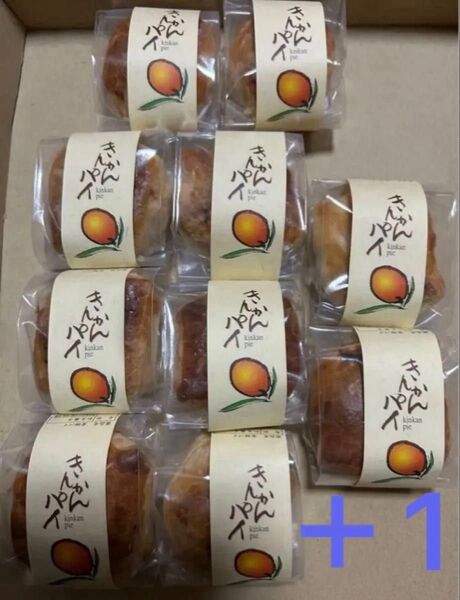 薩摩蒸気屋 ★きんかんパイ×10+1個セット
