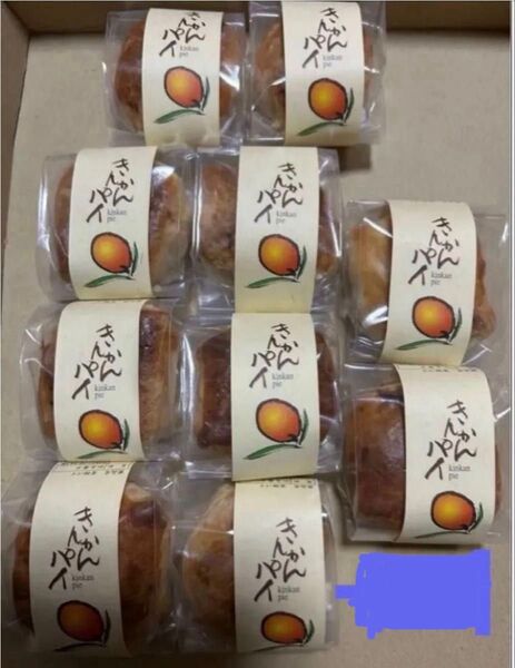 薩摩蒸気屋 ★きんかんパイ×10個セット