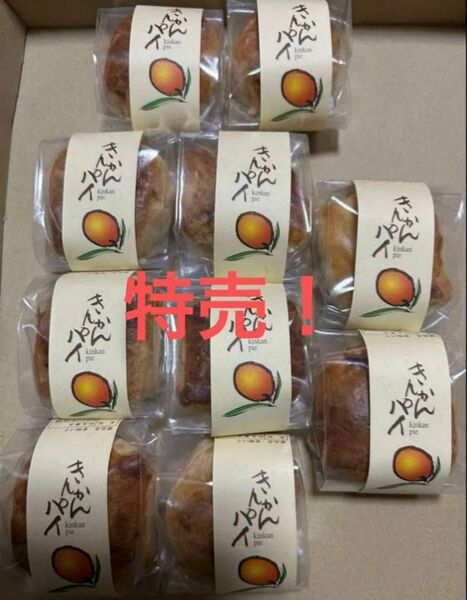 お値下げ!薩摩蒸気屋 きんかんパイ 10個セット
