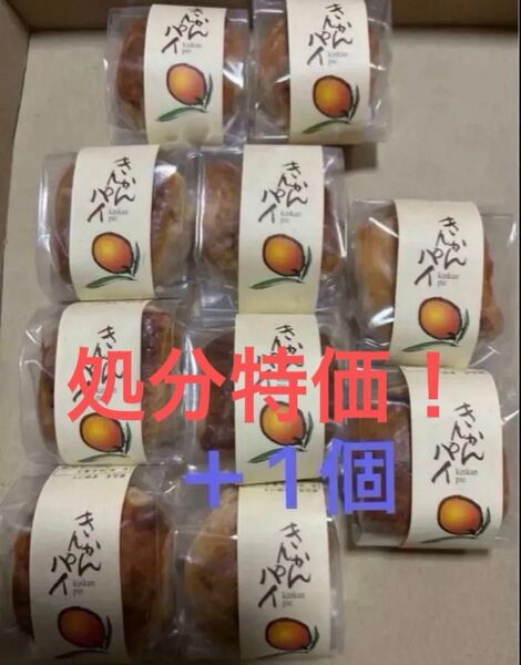 特売セット 薩摩蒸気屋 ★きんかんパイ×10+1個セット