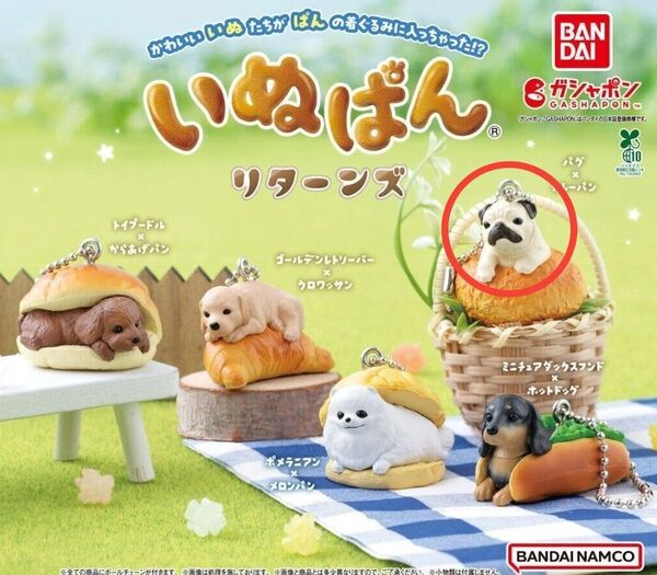 パグ カレーパン いぬぱん リターンズ ガチャガチャ 犬 イヌ フィギュア ミニチュア