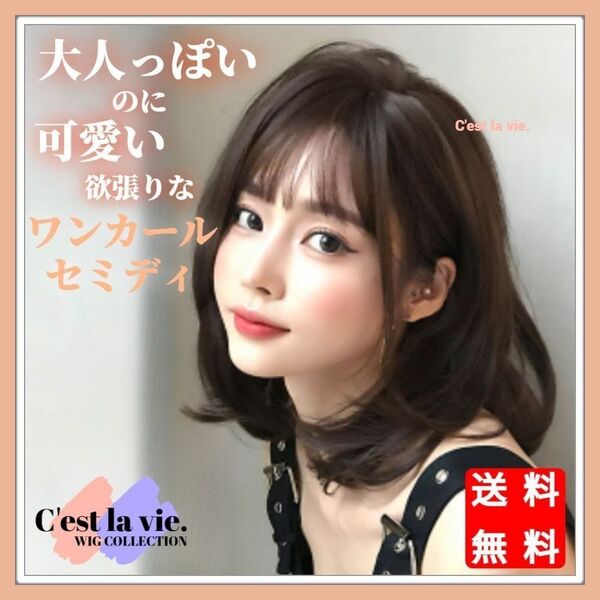 新品 フルウィッグ ワンカール セミディ ダークブラウン 自然 医療用 かつら ウィッグ 耐熱 フリーサイズ バレない ネット付き