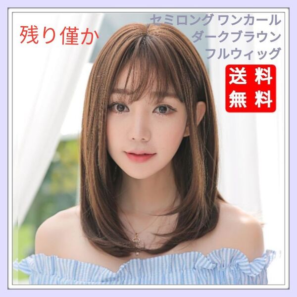 新品 フルウィッグ セミロング ワンカール ダークブラウン 自然 医療用 かつら ウィッグ 耐熱 ウィッグネット付き