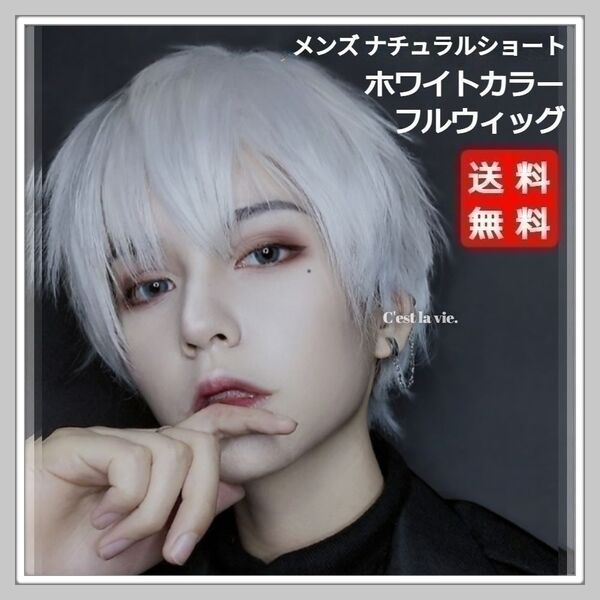 新品 フルウィッグ メンズ ショート ストレート ヘアー ホワイト かつら ウィッグ 耐熱 フリーサイズ ネット付き コスプレ