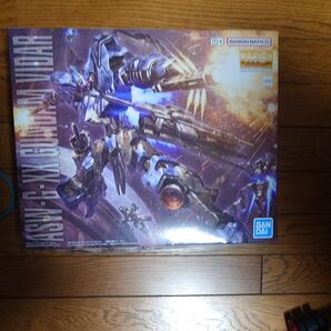 MG 1/100 ガンダムヴィダール 佐賀