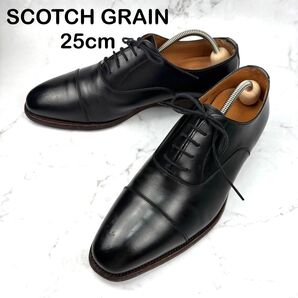【大人気】SCOTCH GRAIN スコッチグレイン レザー 25 ブラック 革靴 ビジネスシューズ レザーシューズ 黒