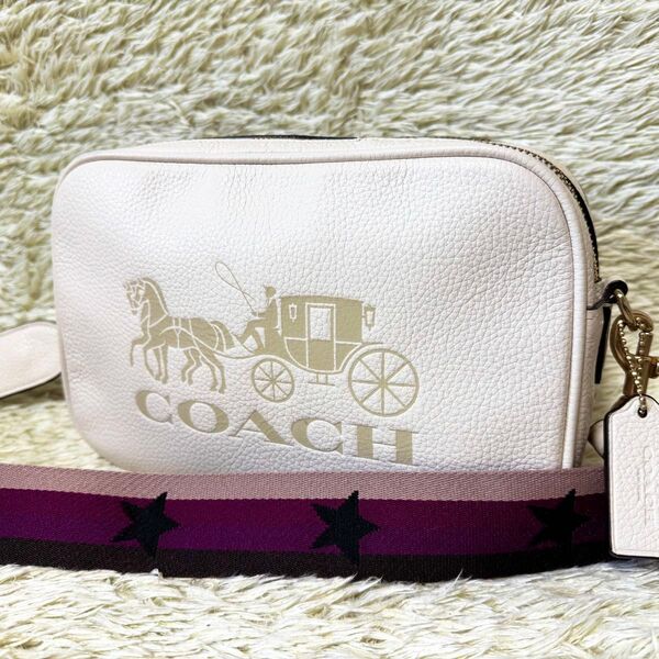 COACH カメラバッグ ホースアンドキャリッジ 斜め掛け ショルダーバッグ ストライプ スター ロゴ型押し ダブルジップ レザー