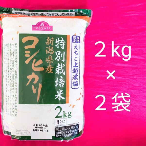 特別栽培米 新潟県産 コシヒカリ 2袋 白米 減農薬 令和6年産 未開封