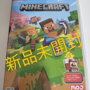 新品 Nintendo Switch Minecraft マインクラフト