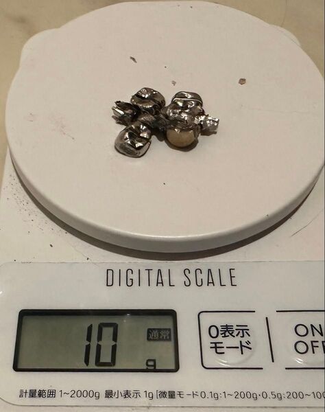 撤去冠 10g
