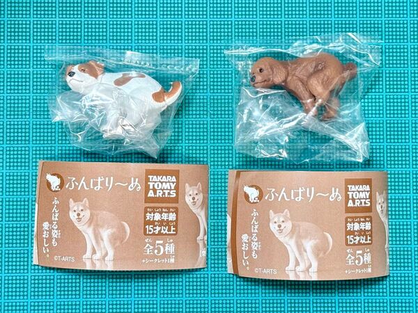 ふんばり〜ぬ トイプードル ジャックラッセルテリア 2体セット