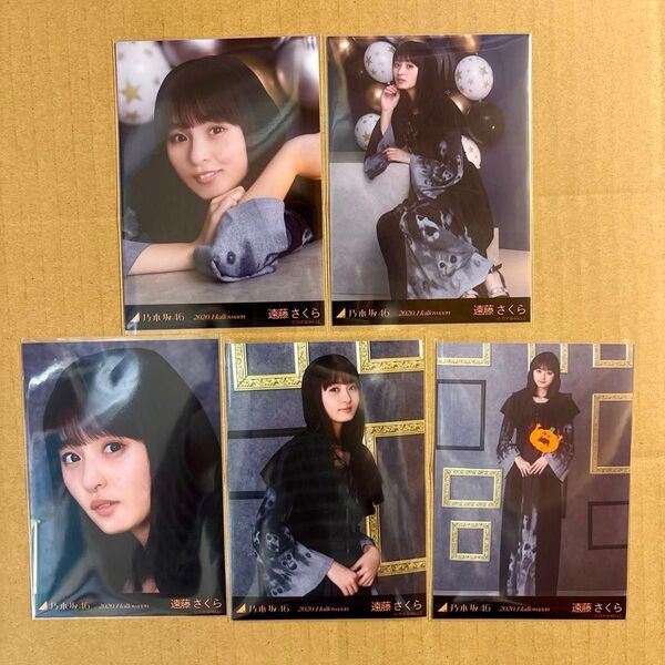 乃木坂46 個別生写真 2020ハロウィン 遠藤さくら コンプ