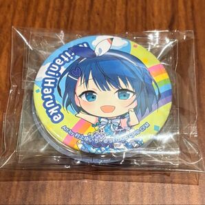 缶バッジ プロセカ プロジェクトセカイ モモジャン MORE MORE JUMP セガくじ 遥