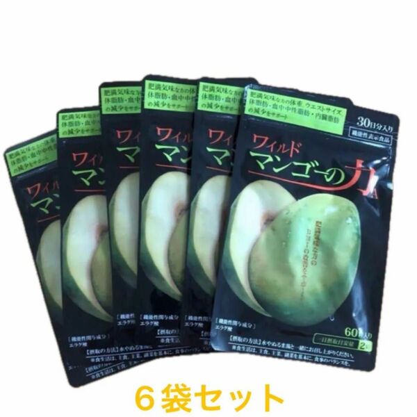 最終値下げ】新品未開封 亀山堂 ワイルドマンゴーの力60粒入り6袋