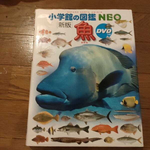 魚 (小学館の図鑑NEO 4) (新版) 井田齊/監修・執筆 松浦啓一/監修・執筆 藍澤正宏/ほか指導・執筆 松沢陽士/ほか撮影