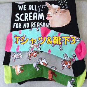 ヤギ 半袖 Tシャツ & 靴下まとめ 中見がわかる福袋