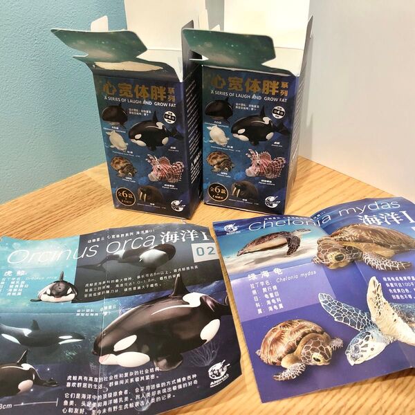 動物の惑星 海洋 2種セット シャチ アオウミガメ コレクショントイ フィギュア 動物惑星 動物星雲