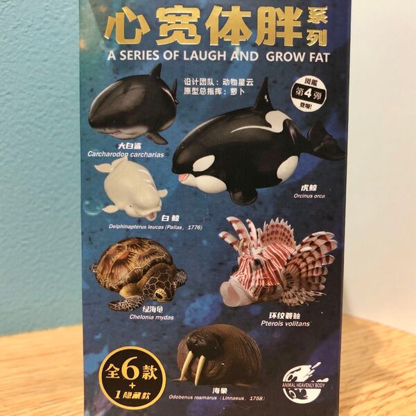 動物の惑星 海洋 セット アオウミガメ シャチ ホホジロザメ シロイルカ セイウチ ハナミノカサゴ フィギュア 動物惑星 動物星雲