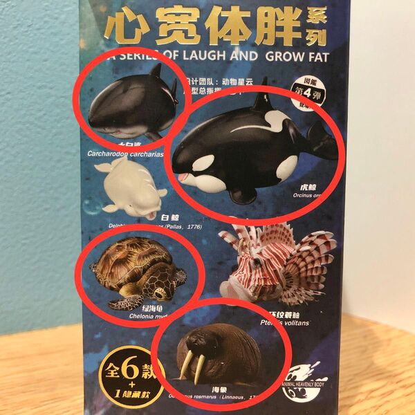 動物の惑星 海洋 4種セット アオウミガメ シャチ ホホジロザメ セイウチ フィギュア 動物惑星 動物星雲